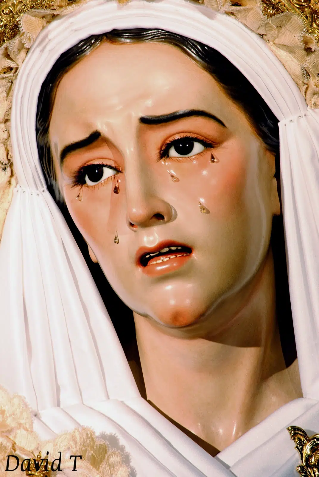 Imagen de la Virgen de los Dolores y Misericordia de Jesus Despojado