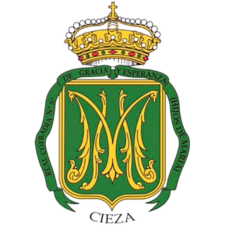 Escudo de la Cofradía Hijos de María